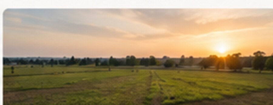 Plots & Land